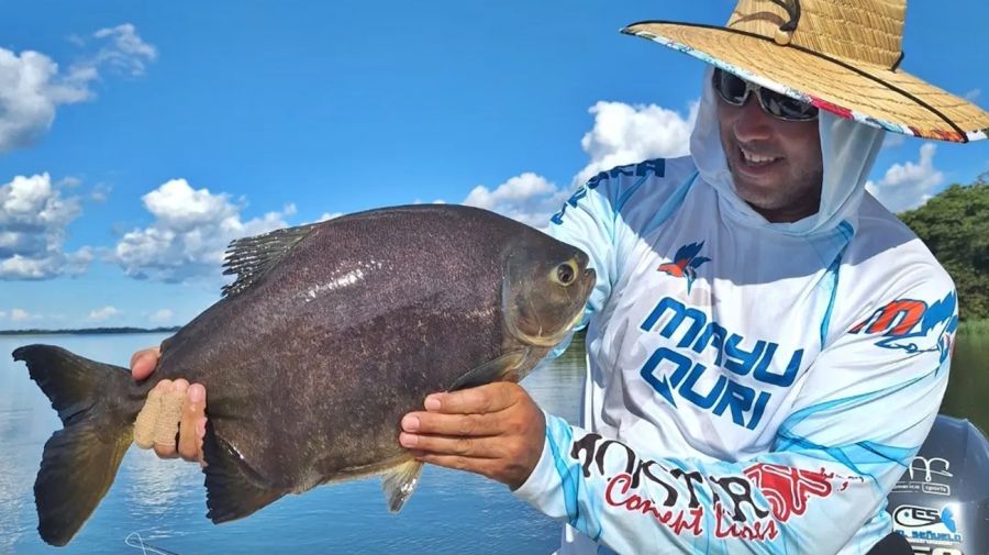 02_02_mapa_pique_pesca