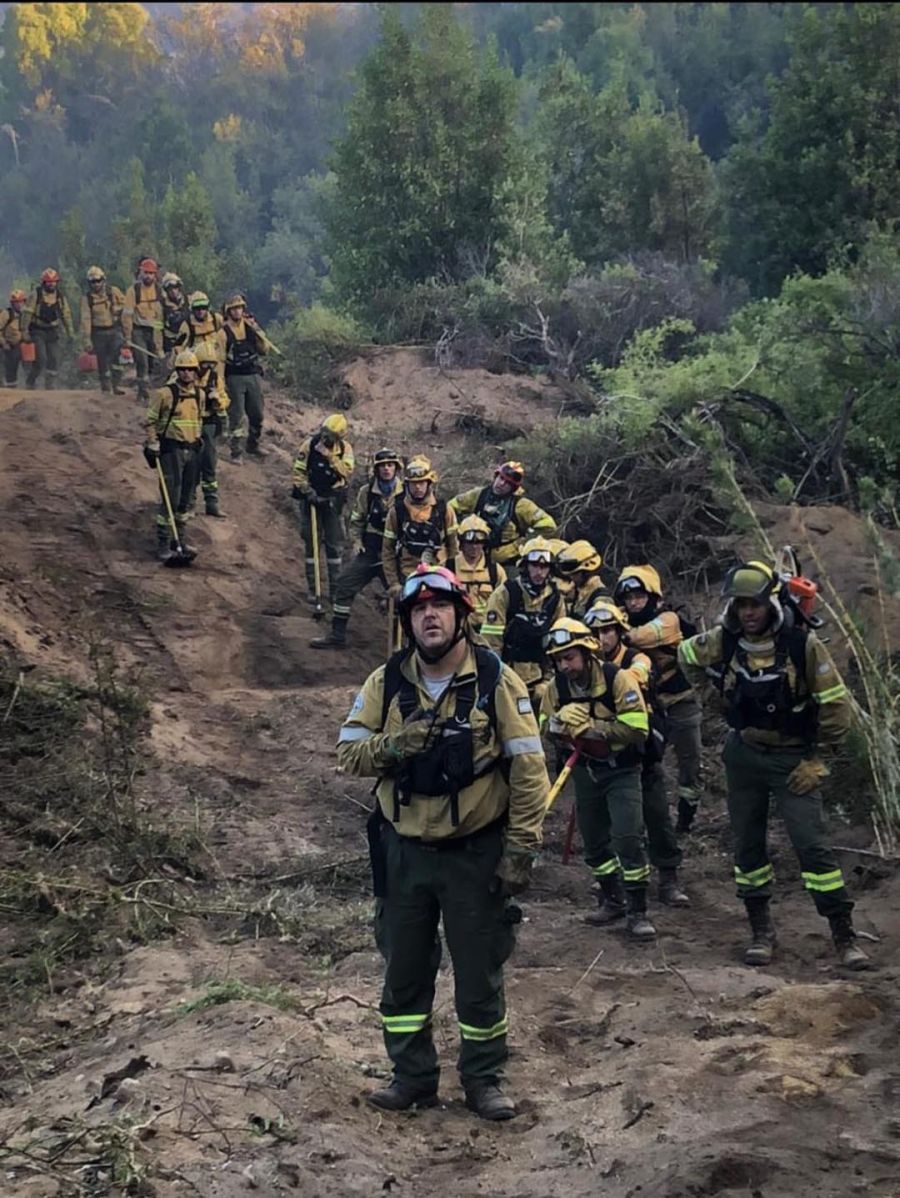 Incendios en Parque Los Alerces