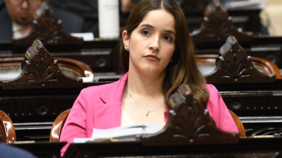 Diputada Rocío Bonacci