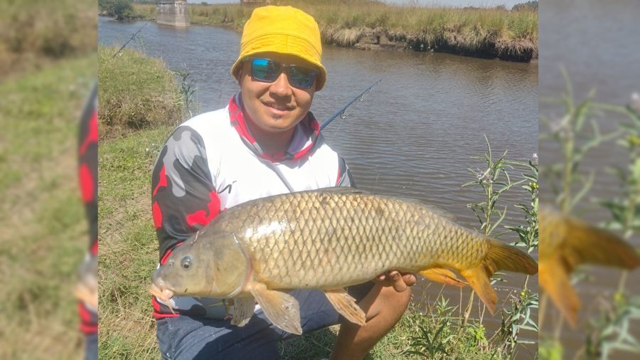 Carnada Tripa De Pollo Ideal Pesca Variada – La Cueva Pesca