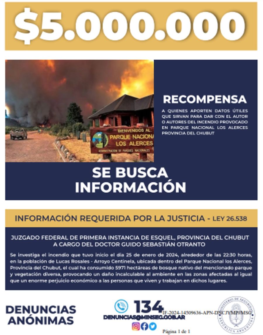 Incendio en el Parque Nacional Los Alerces 20240209