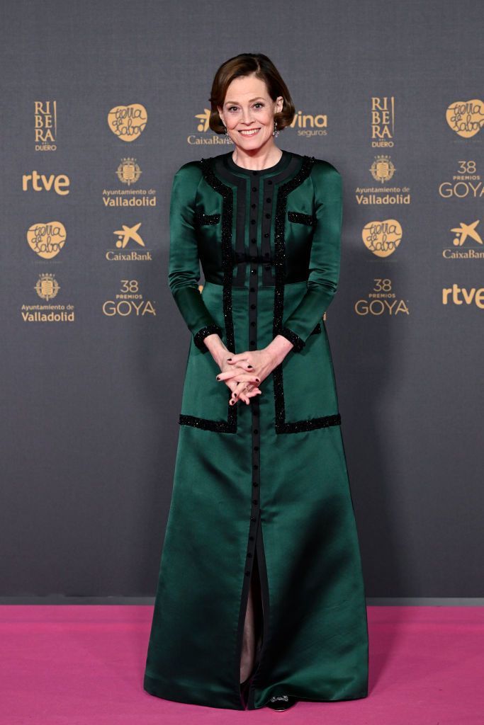 La alfombra roja de los Premios Goya 2024: los outfit de la gala del cine español