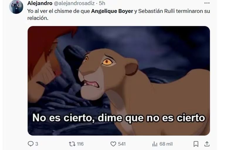 Los mejores memes tras la supuesta ruptura entre Angelique Boyer y Sebastián Rulli