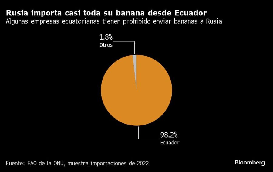 Rusia importa casi toda su banana desde Ecuador | Algunas empresas ecuatorianas tienen prohibido enviar bananas a Rusia