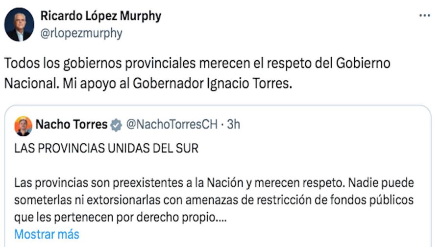 Ricardo López Murphy Tweet 20240223