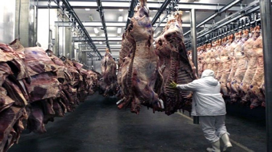 carne de exportación