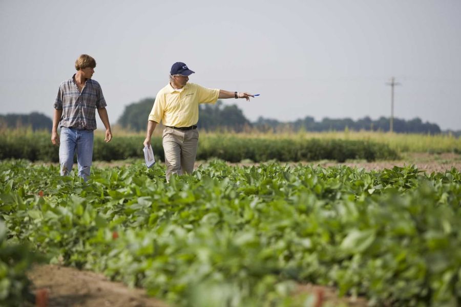 Agroindustria