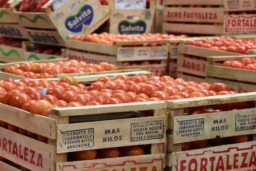 tomate mercado central feria minorista