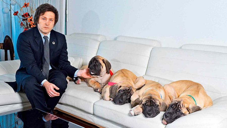 Milei y sus perros clonados