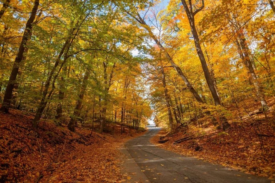 El equinoccio de otoño es un fenómeno astronómico que registra el comienzo del otoño y el final del verano.