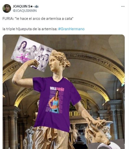Los mejores memes del arco de Artemisa que le hizo Furia Scaglione a Catalina Gorostidi en Gran Hermano