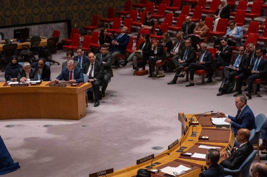 Consejo de Seguridad de la ONU 20240414