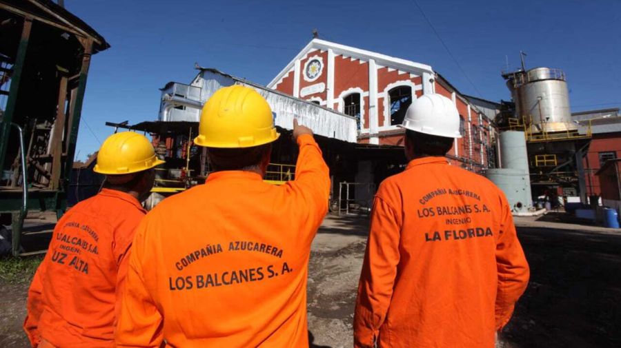 Zafra de azúcar en Tucumán en el ingenio Los Balcanes