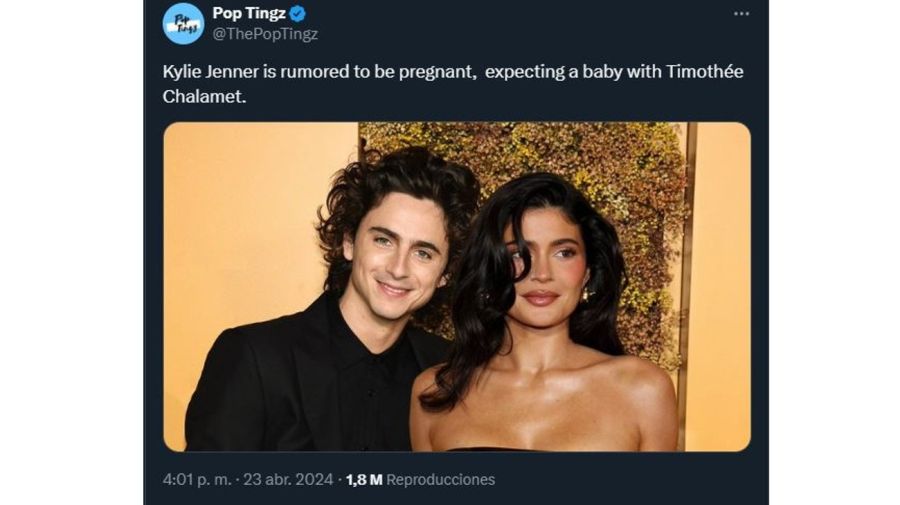 Kylie Jenner y Timothée Chalamet embarazo