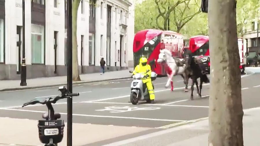 Caballos del ejército se escapan y corren por las calles de Londres