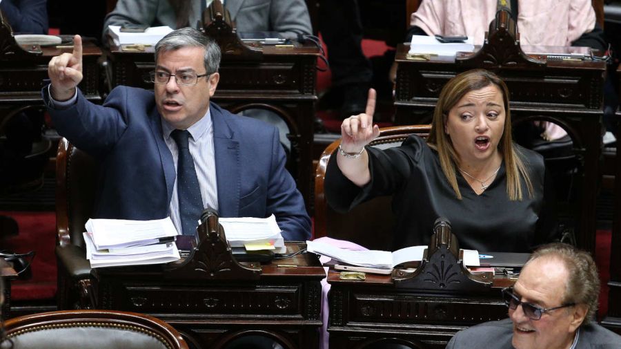 Los diputados de UxP, Germán Martínez y Cecilia Moreau, reclamando a Martín Menem.