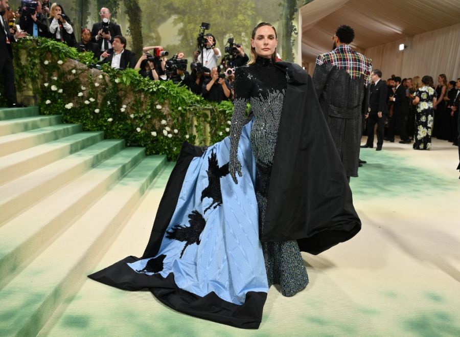 Met Gala 2024