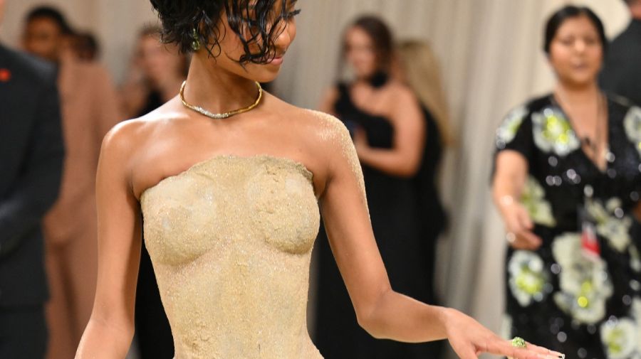 Vestido Tyla Met Gala 2024