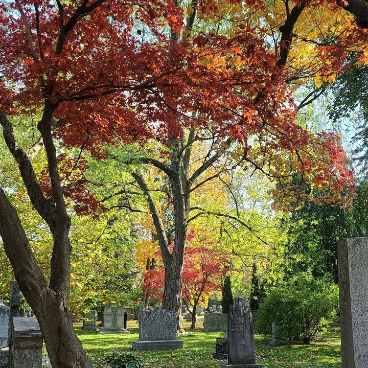 Cementerio Mount Pleasant