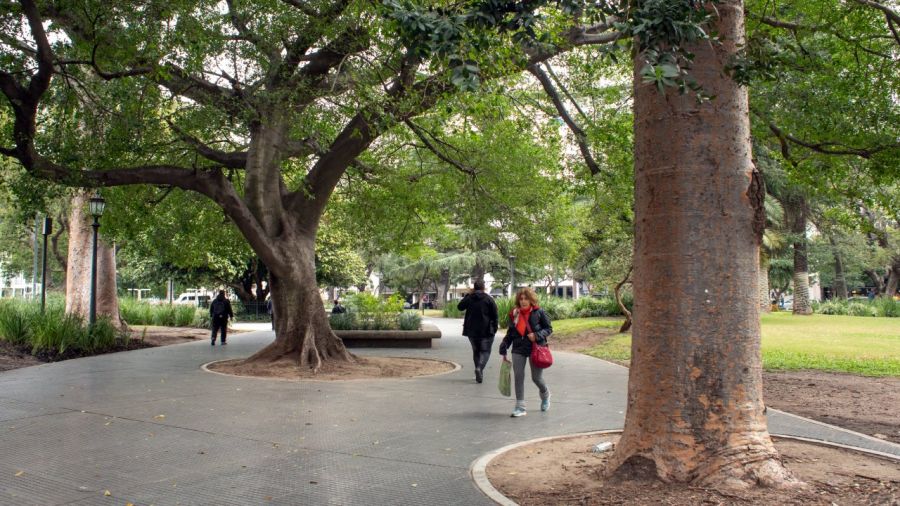 Buenos Aires plantará 18 mil árboles