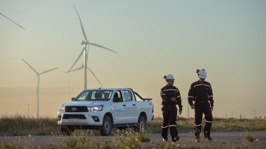 La energía renovable que utilizará el Grupo Peñaflor proviene de los parques eólicos de Pampa Energía.