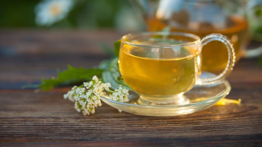 Conocé 5 tipos de infusiones para dormir y conciliar el sueño más rápido