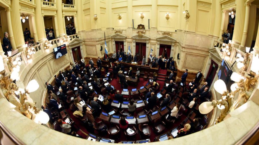 Debate de la ley Bases en el Senado