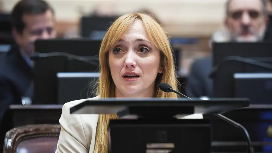 Senadora Anabel Fernández Sagasti