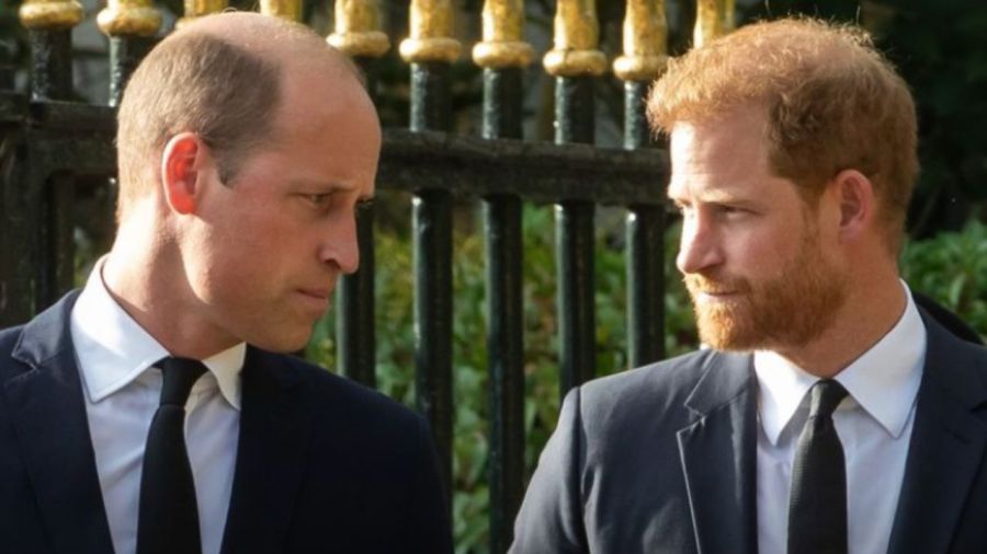 El príncipe William y Harry