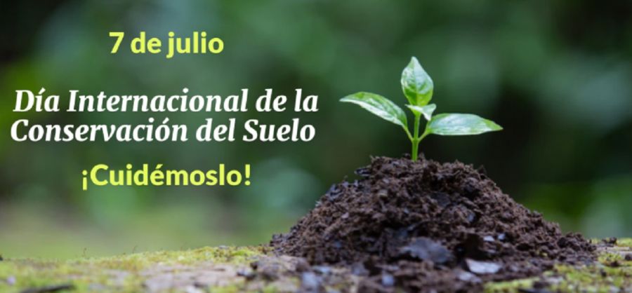 0407_suelo