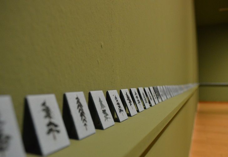 Muestra Manuel Coll en Museo Evita