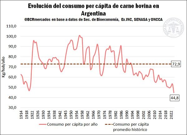 consumo de carne bovina julio 2024 histórico 