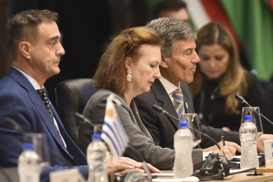 Diana Mondino en la cumbre del Mercosur