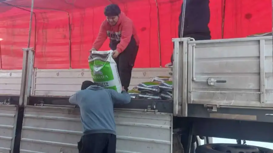 Llegaron los primeros camiones con alfalfa para tratar de salvar a miles de animales en jaque por la nieve en el sur 20240708