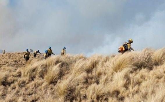 Bomberos trabajando en plena sierras