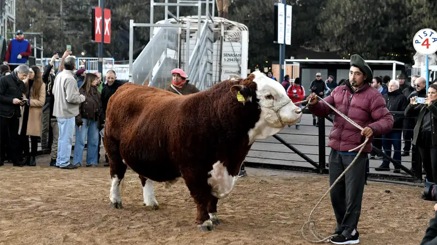 Expo Rural de Palermo 2024