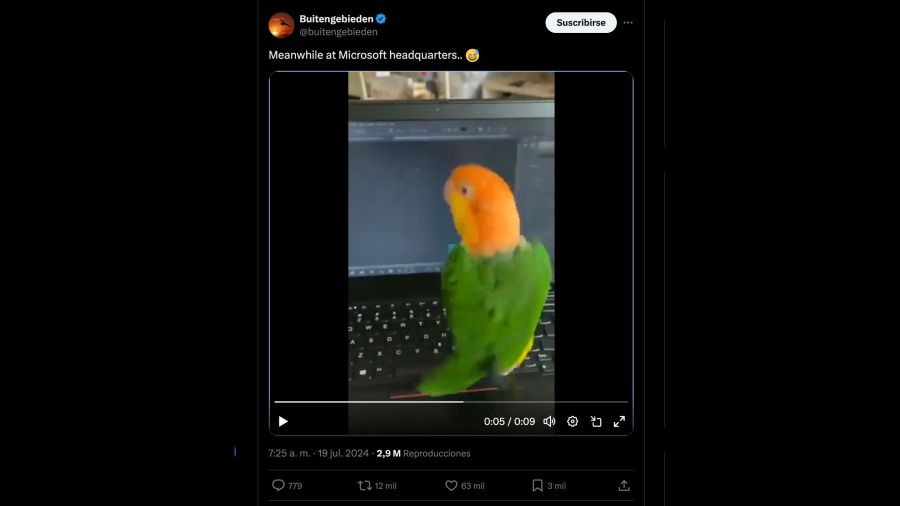 Memes por la falla de Microsoft