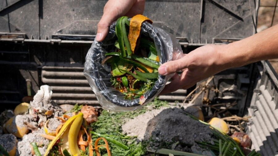 Desperdicio de alimentos