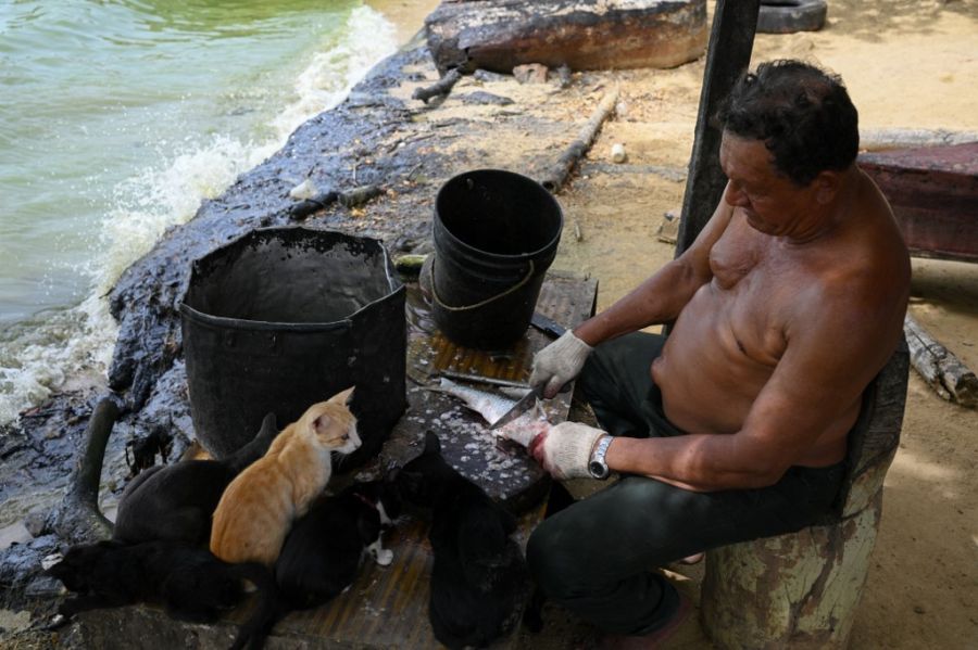 Maracaibo (Venezuela)