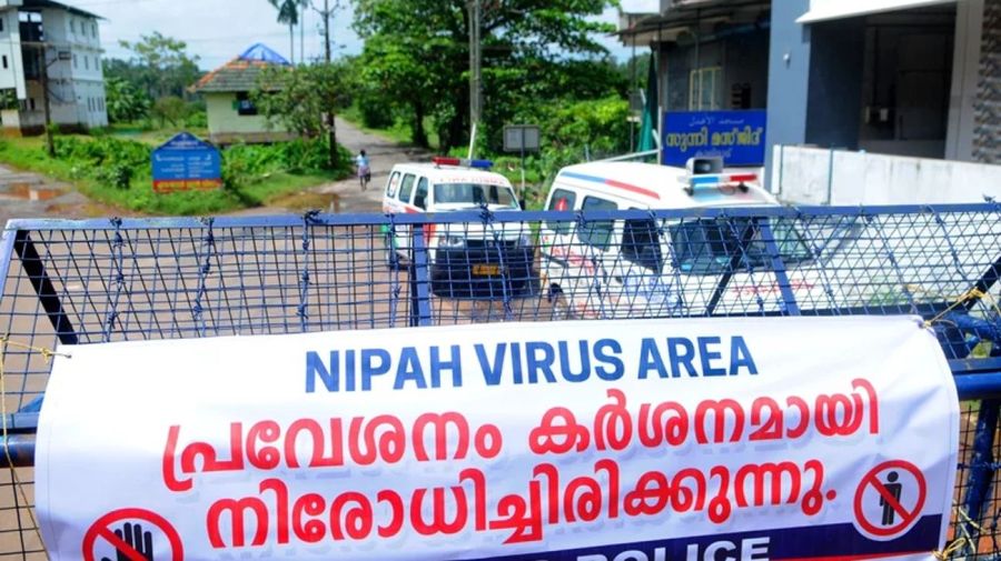 Virus Nipah