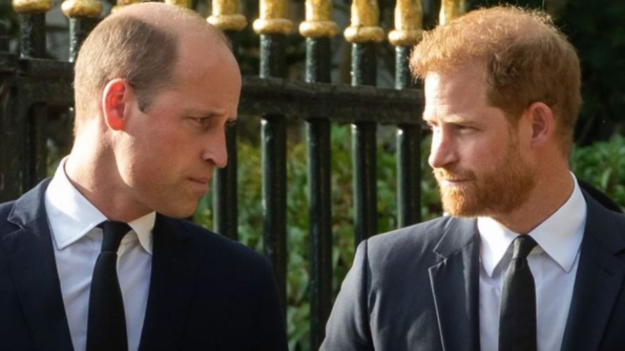 El príncipe William y Harry