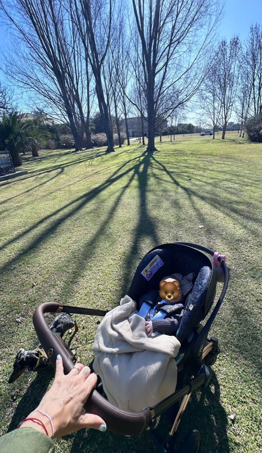 La tierna foto de Nicole Neumann con Cruz Urcera al sol