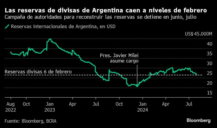 Las reservas de divisas de Argentina caen a niveles de febrero | Campaña de autoridades para reconstruir las reservas se detiene en junio, julio