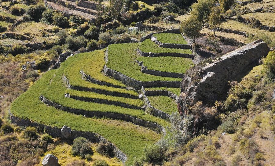 0803_peru