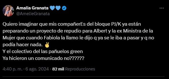 Amalia Granata sobre la denuncia de Fabiola Yañez a Alberto Fernández