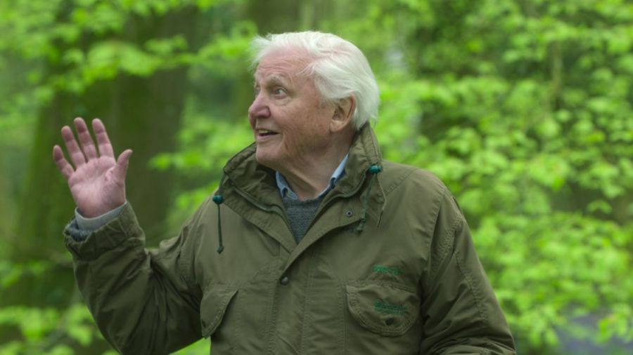 David Attenborough