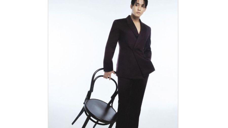 Mingyu embajador de Dior