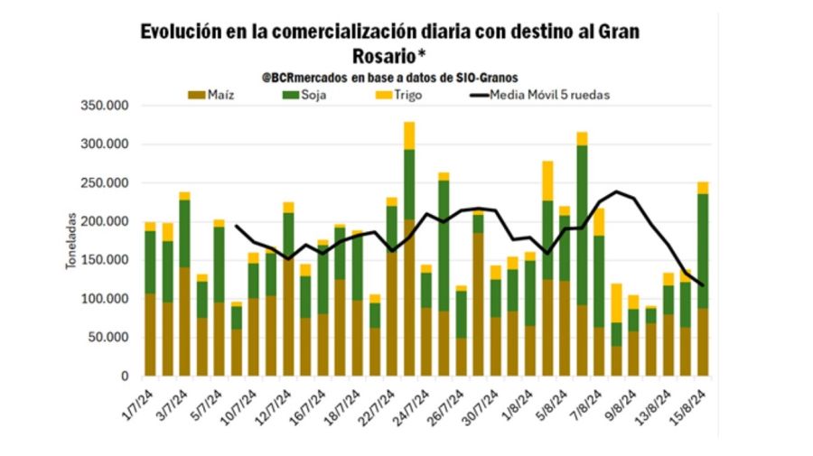 Cuánto cayó la actividad industrial por el paro de aceiteros