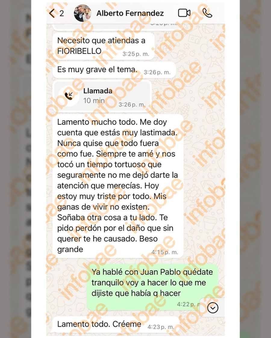 Los nuevos chats de Alberto Fernández a Fabiola Yañez 1