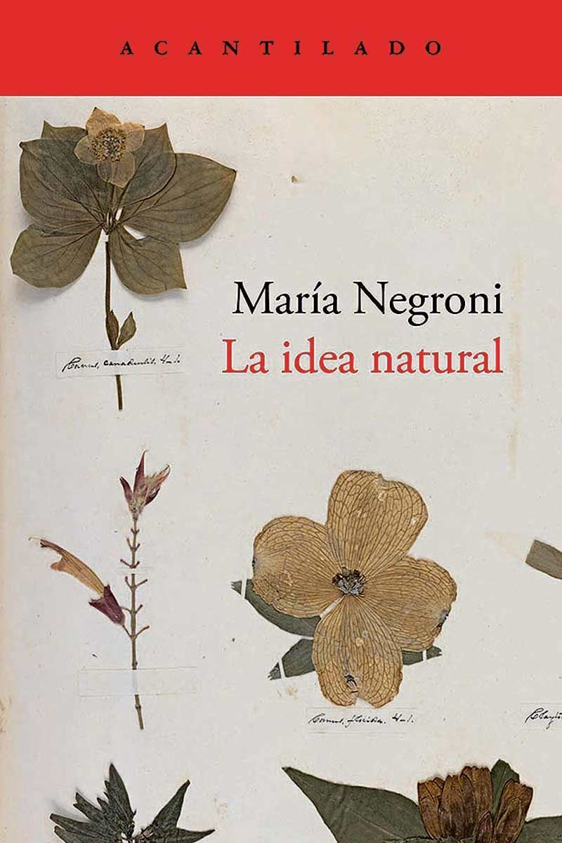 María Negroni